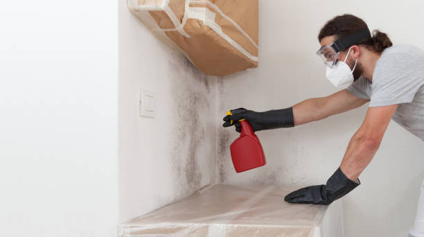 Professional Mold Testing technician working in Bergenfield, NJ