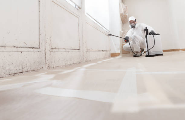 24/7 Emergency Mold Testing experts in Bergenfield, NJ